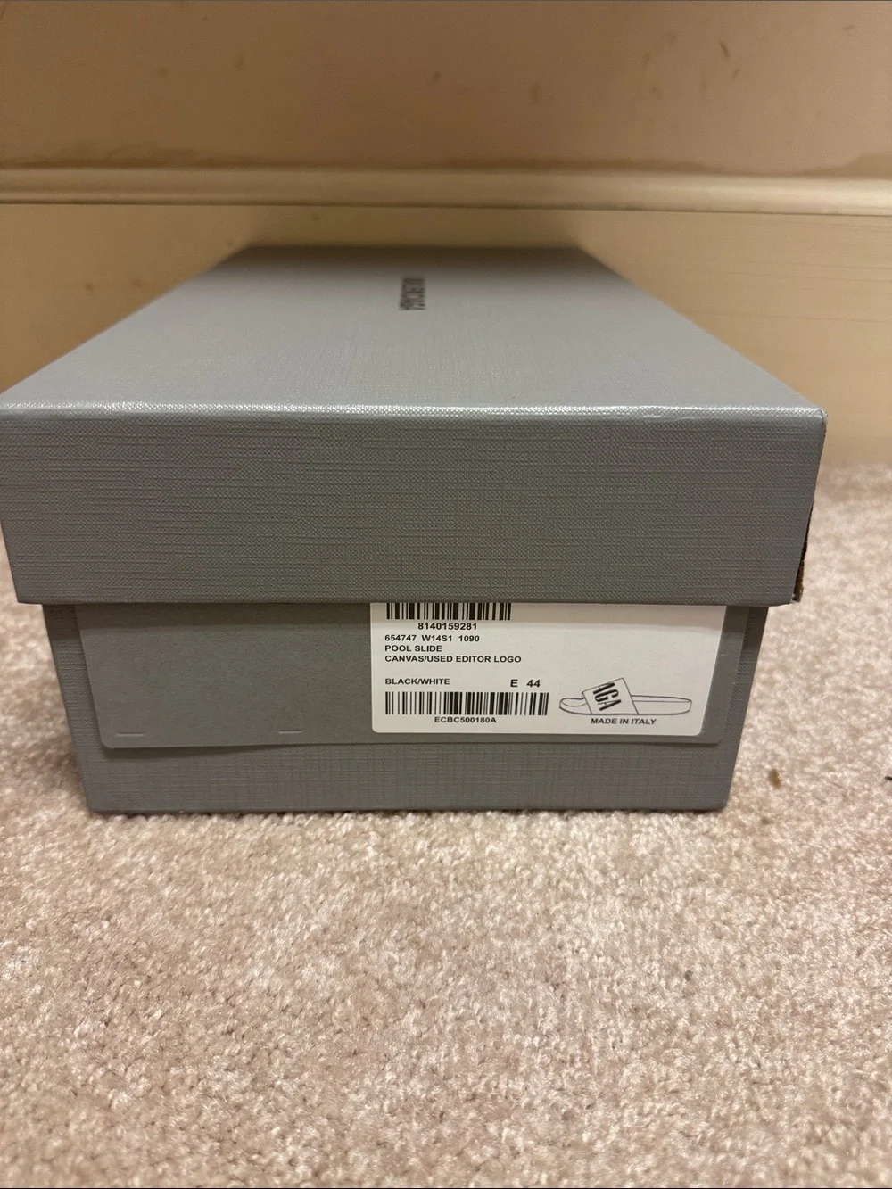Balenciaga authentic pool